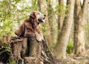 雷火电竞-双星闪耀之夜，李刚仁爆发与曼城命运轮盘的加时决胜